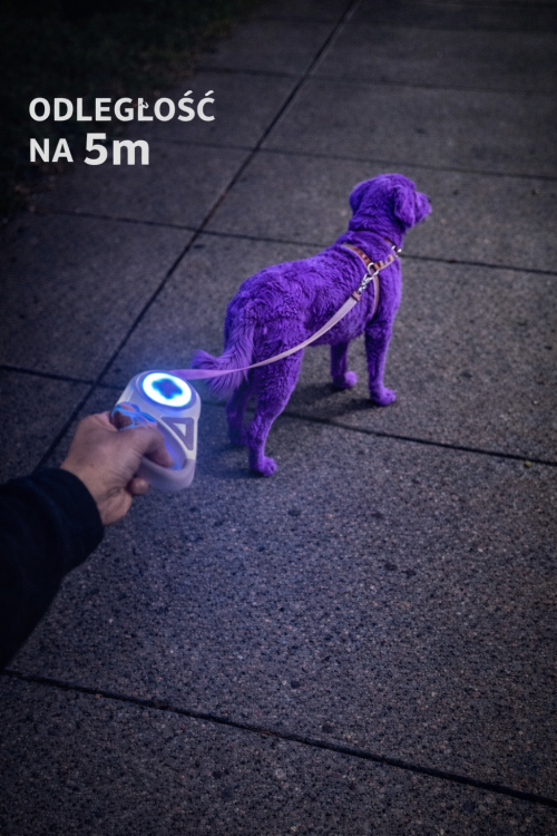 Smycz z latarką LED dla psa