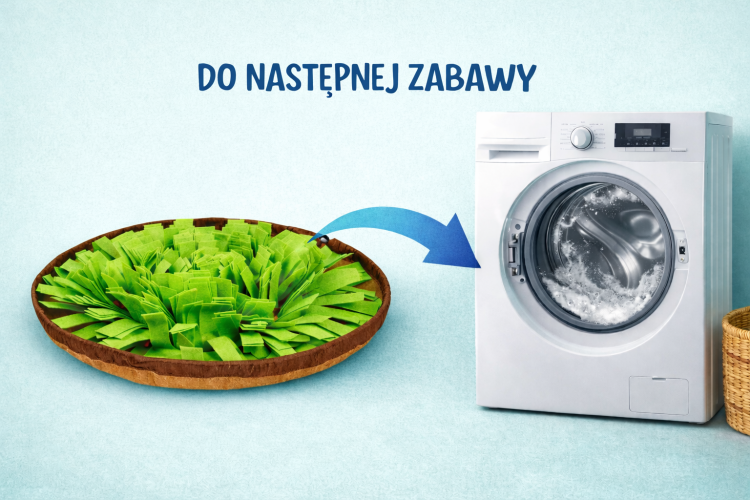 Mata węchowa dla psa